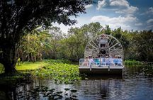 Panoramic Open-Top City Tour and Sightseeing Cruise