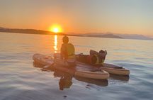 Stand-up Paddleboard Sunset Experience Chania Crete (tour)