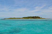 Paradise Islands Tour: Isla Contoy and Isla Mujeres
