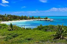 Paradise Islands Tour: Isla Contoy and Isla Mujeres