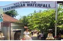 All Ticket Inclusive-Blue Lagoon Snorkeling-Ubud Monkey Forest & Ubud Waterfall 