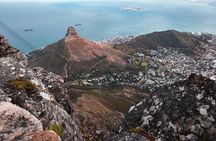 Cape Town Table Mountain Cape Point Penguins Full-Day Private Tour