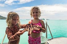 Whitehaven Beach and Hill Inlet Day Tour | Aussie Beach BBQ | Family Friendly