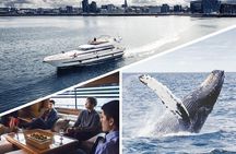 Whale Watching & Dolphin Yacht Cruise