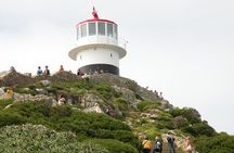 Cape of Good Hope & Penguins Small Group Guided Tour