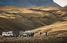 Immersive 4x4 Patagonia Safari: Dicover Flora Heritage & Wildlife