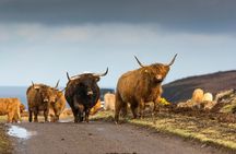 8-Day Isle of Skye, Orkney & North Coast 500 tour from Edinburgh