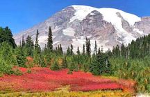 2-Day Mount Rainier & Olympic National Parks Tour from Seattle
