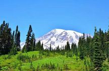 2-Day Mount Rainier & Olympic National Parks Tour from Seattle