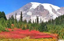 Seattle, Mount Rainier National Park 2-Day Tour from Seattle