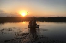 Sunset 1.5 Hour Private Airboat Tour of Miami Everglades