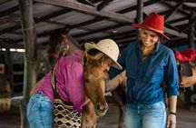 Horse Riding at La Mello Adventure Lodge