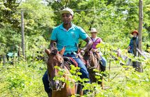 Horse Riding at La Mello Adventure Lodge