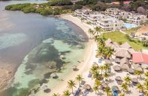 Las Palmas Beach and Roatan Island Brewing Company Private Tour with Guide