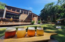 Las Palmas Beach and Roatan Island Brewing Company Private Tour with Guide