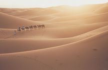 Doha Sunrise Desert Safari Tour| Dune Bashing| Inland Sea visit| Camel Riding