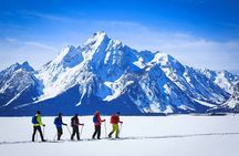 Beginner Cross Country Skiing Experience