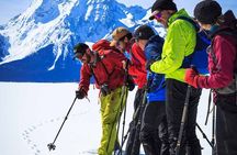 Beginner Cross Country Skiing Experience