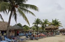Best of Roatan and Beach Excursion