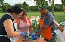 A Evening Cultural Experience Through Food Cooking Class St. Croix