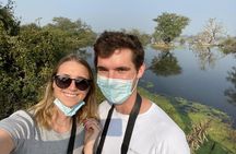 Ranthambore Tiger Safari Day trip from Jaipur - All Inclusive