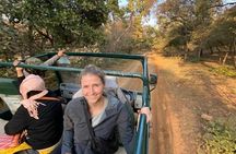 Ranthambore Tiger Safari Day trip from Jaipur - All Inclusive