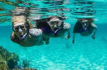 Guided Snorkeling Experience in Bondi