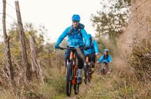 Positano on two wheels: a scenic e-bike tour