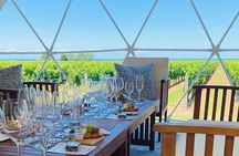 1 Hour Private Vineyard Dome Experience in Niagara-on-the-Lake