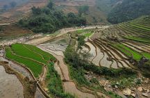 Sapa Trekking Experience through Terraced Rice Fields