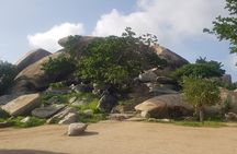 Full-Day Aruba Sightseeing island Tour with Baby Beach Swim