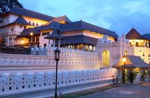 Private Sightseeing Tour in Kandy
