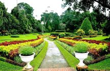 Private Sightseeing Tour in Kandy
