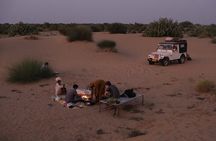Become a Desert Nomad – Overnight Camel Safari in the Wild