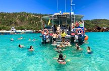 Dolphin & Tangalooma Wrecks Snorkel Day Cruise & Lunch - Brisbane