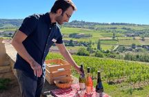 Golden stones Beaujolais Wine Tour with Tastings from Lyon