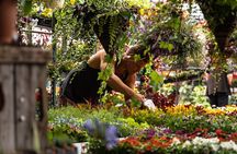 Jean-Talon Market & Little Italy Small Group Walking Tour