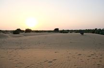 8 Hours Private Tour in Thar Desert with Dinner