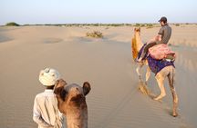 8 Hours Private Tour in Thar Desert with Dinner