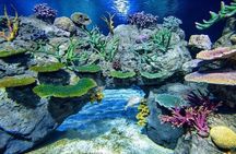Angkor Wildlife & Aquarium Halfday tour
