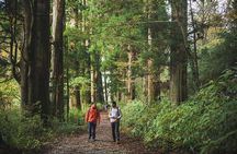 Custom Private Tour in Hakone with a Certified Local Guide