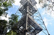 Private Tour at Musa (Botanical Garden, Amazon Museum)