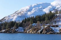 Tromsø, Northern Lights and Wilderness Evening Catamaran Cruise