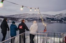 Tromsø, Northern Lights and Wilderness Evening Catamaran Cruise