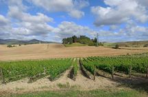 HALF-DAY: Chianti Classic Tour with Wine Experience & visit of San Gimignano