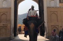 From Delhi: Private Jaipur Tour by Car - All Inclusive