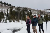 Guided Uinta Forest 3-Mile Hike w/fire + Lunch/charcuterie Stop 