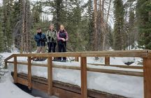 Guided Uinta Forest 3-Mile Hike w/fire + Lunch/charcuterie Stop 
