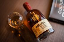 Rum Tasting Tour at Casa BACARDÍ in Puerto Rico 