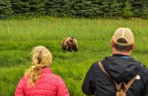 Alaska Bear Viewing Adventure from Seward